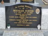 image of grave number 929696